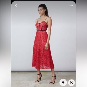 ALLEN SCHWARTZ Eden Bustier Floral Lace Dress in Red